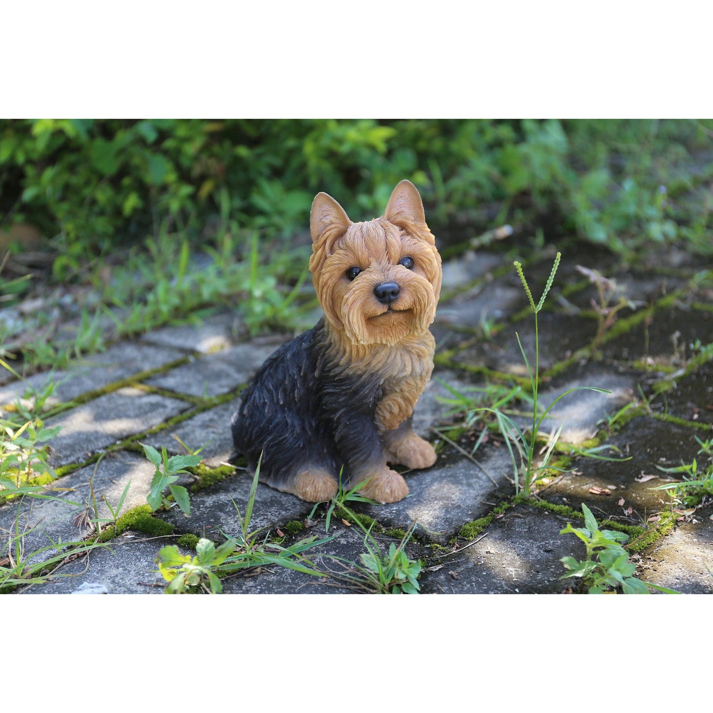 Sitting Yorkshire Terrier Statue