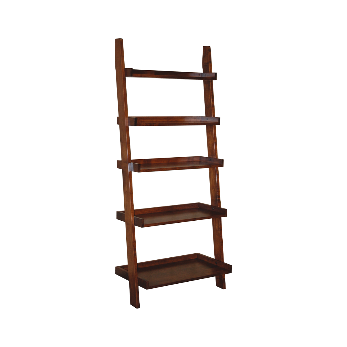 5-Tier Ladder Shelf