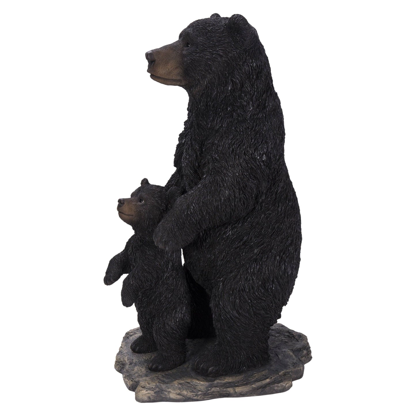 Standing Mother & Baby Black Bears