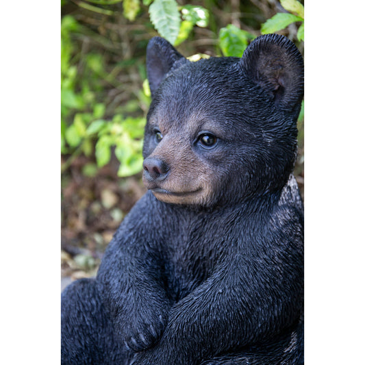 Sitting Black Bear Cub