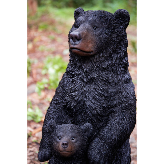 Standing Mother & Baby Black Bears