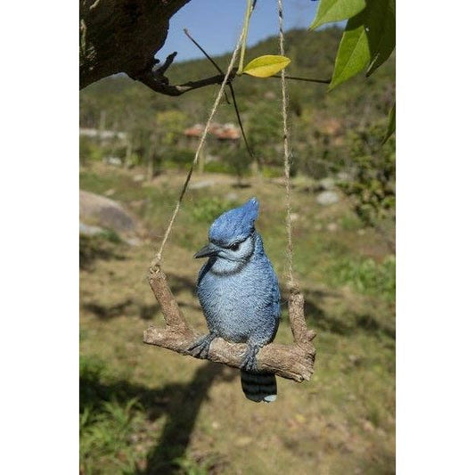Hanging Blue Jay On A Branch
