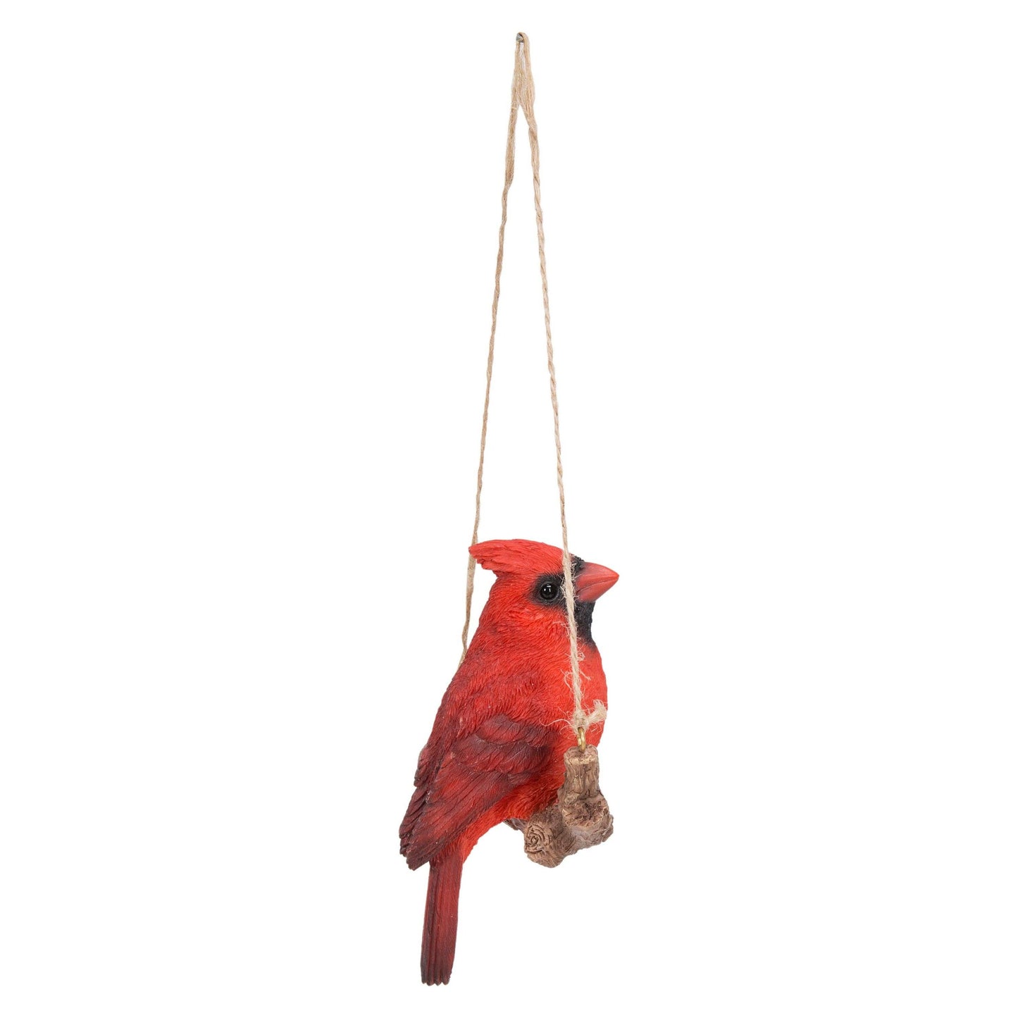 Hanging Cardinal On A Branch