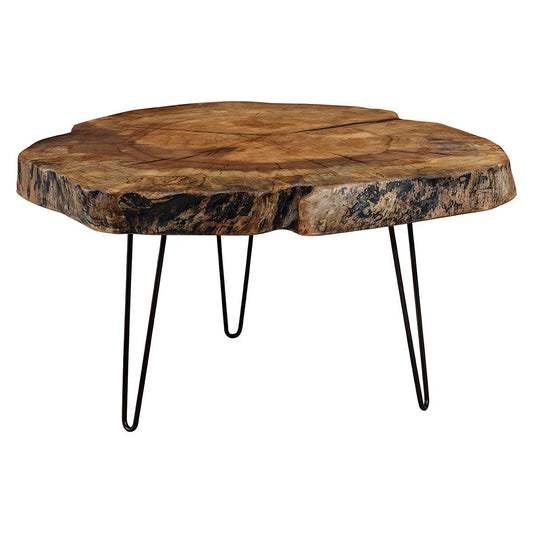 Burl with Metal Base Coffee Table