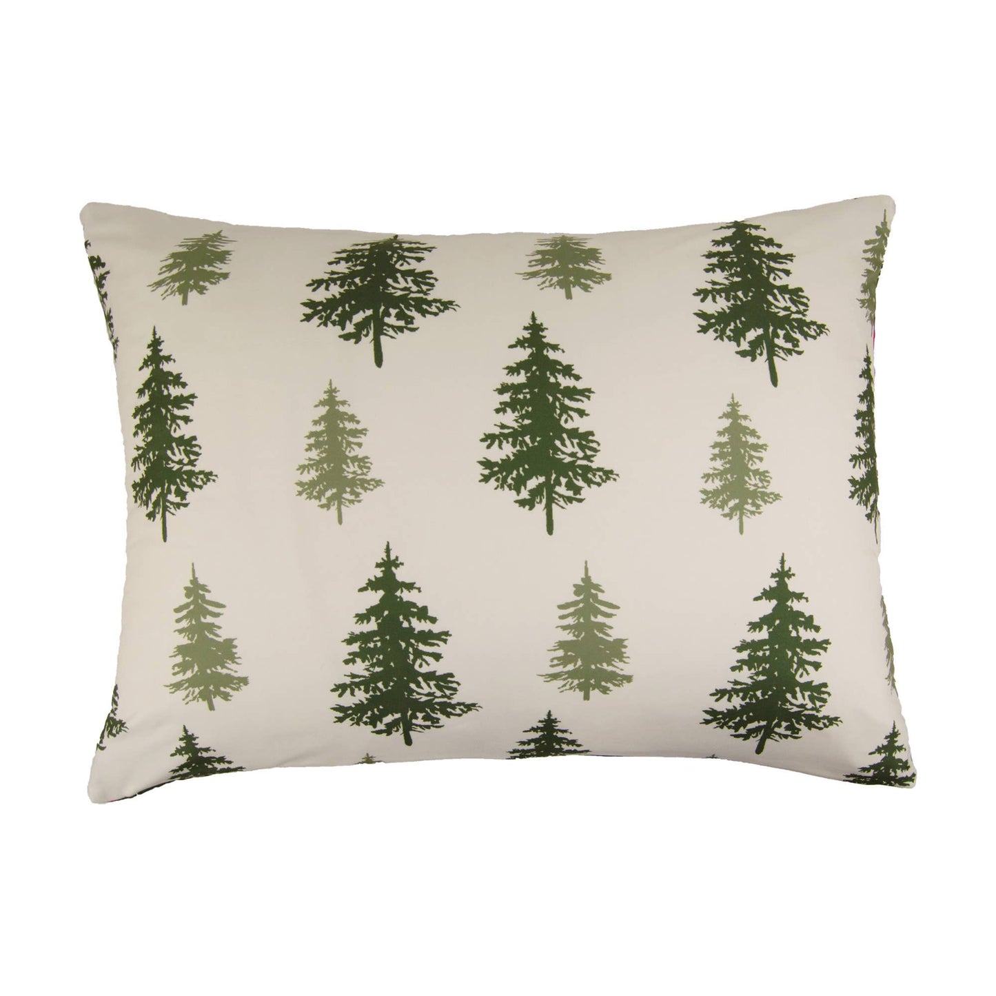Donna Sharp Cedar Lodge 3PC Quilt Set