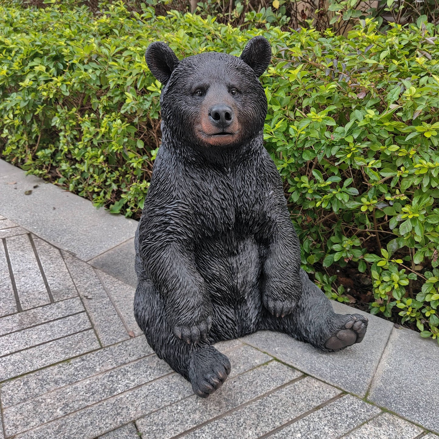 Majestic Black Polyresin Sitting Bear Figurine